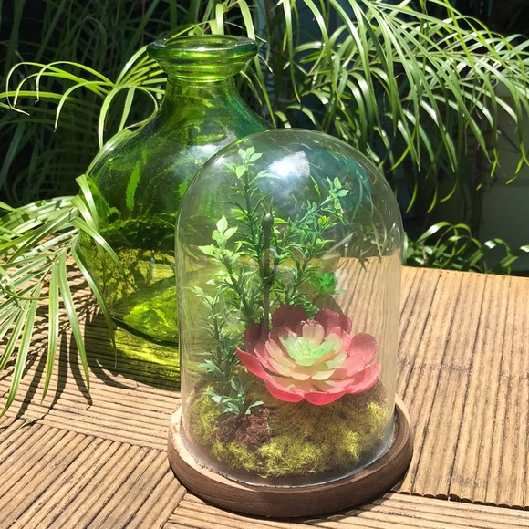Other - Glass & Wood faux succulent terrarium decor